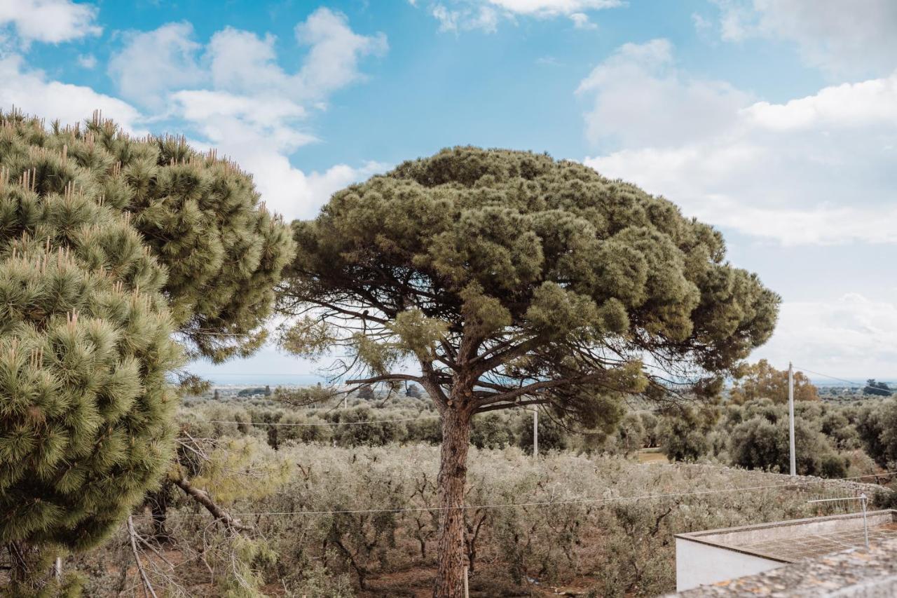 Masseria Casamassima Agriturismo Villa Ostuni Ngoại thất bức ảnh