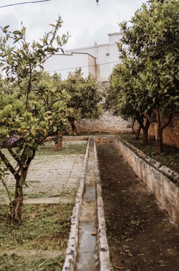 Masseria Casamassima Agriturismo Villa Ostuni Ngoại thất bức ảnh