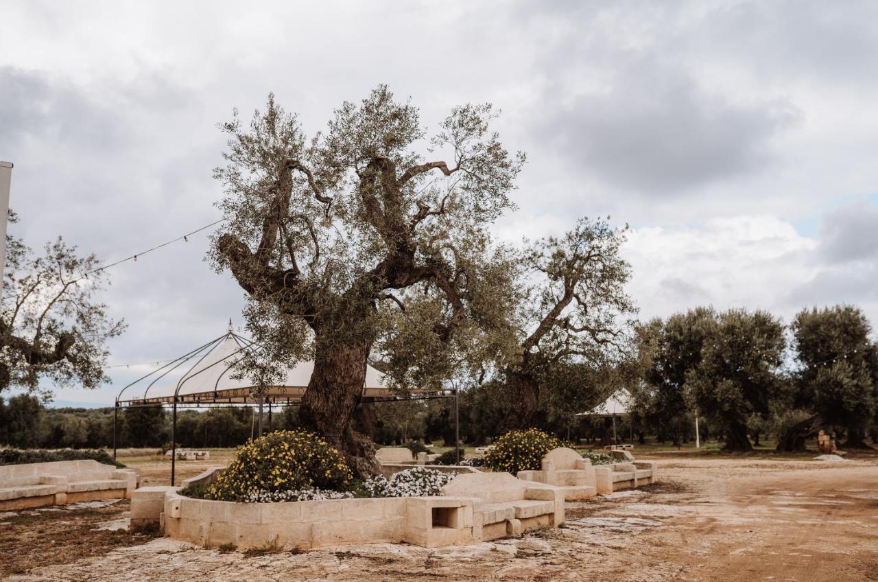 Masseria Casamassima Agriturismo Villa Ostuni Ngoại thất bức ảnh